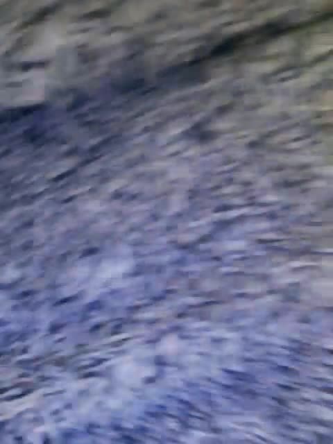 Beerrry 2023 12 23 15 45 12 906