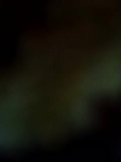 Mohra-_ 2024-07-01 01-56-26 600