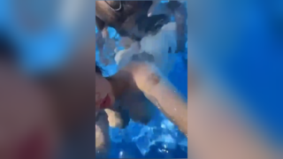 سكس الراقصة بوسي المصرية